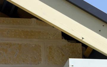 soffit repair Sunnyfields